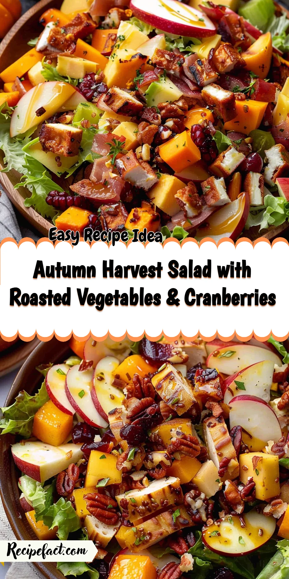 Autumn Harvest Salad with Roasted Vegetables & Cranberries