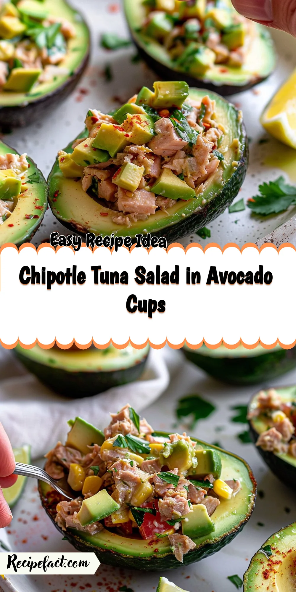 Chipotle Tuna Salad in Avocado Cups